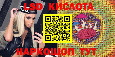 ГАЛЛЮЦИНОГЕННЫЕ ГРИБЫ Гусев
