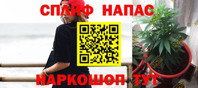 стаф Гусь-Хрустальный