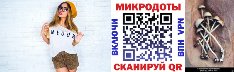 shop наркотические препараты  Энгельс  Галлюциногенные грибы ЛСД  цены  