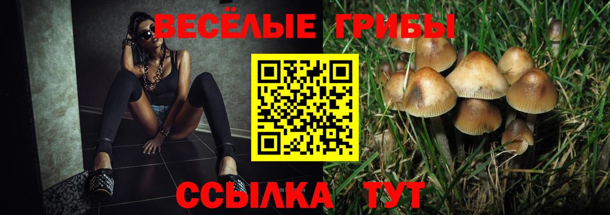 Энгельс  Галлюциногенные грибы MAGIC MUSHROOMS  Вход с VPN  даркнет сайт  Псилоцибиновые грибы мицелий 
