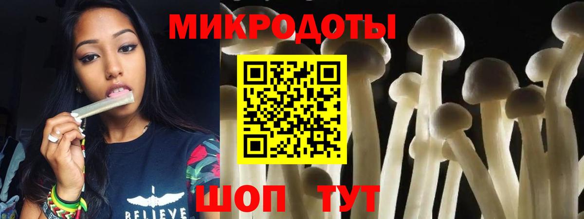 Псилоцибиновые грибы Psilocybe Энгельс